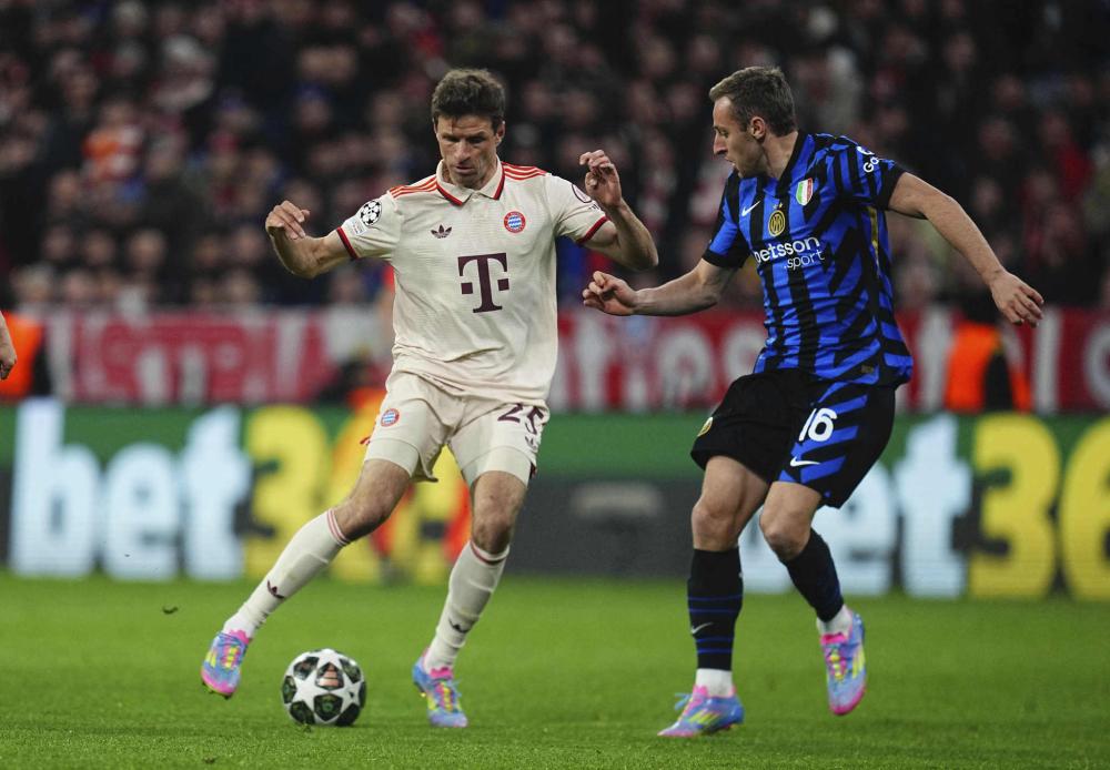 鲜明对比的 鲜明对比的